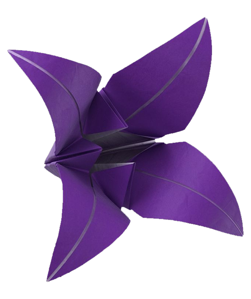 House of Origami Logomark